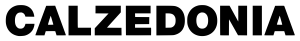 Calzedonia_logo_wordmark_logotype