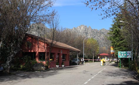 elcampinga