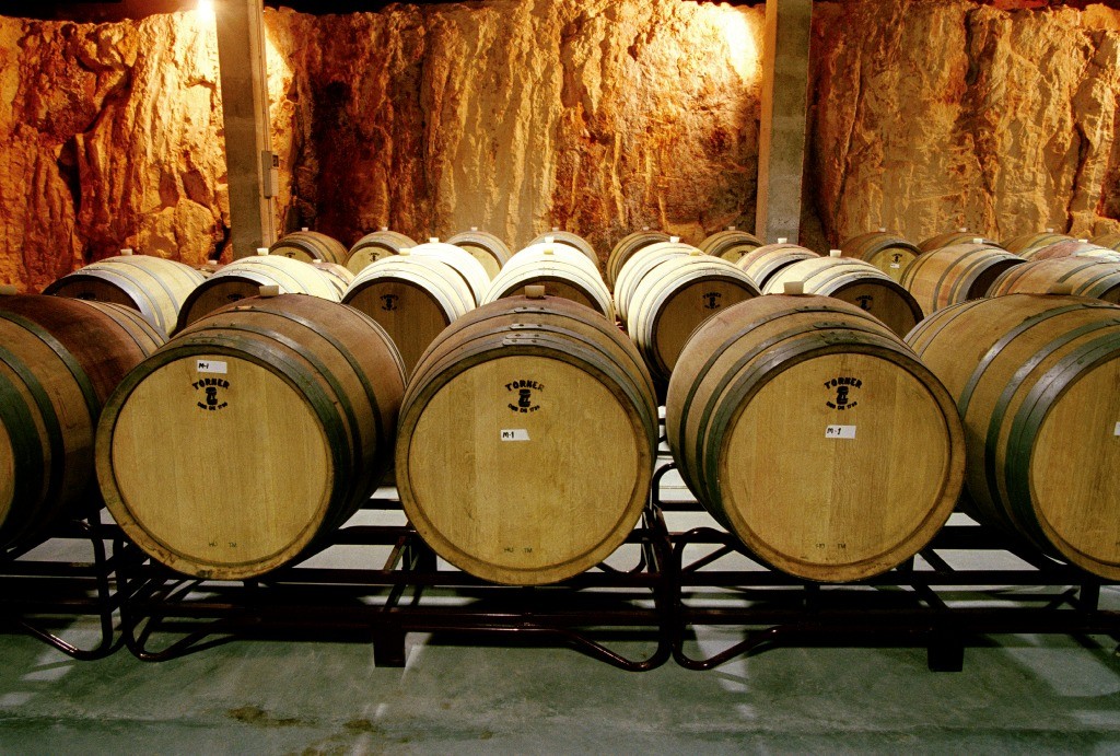 bodega2